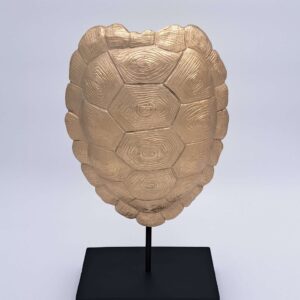 Tesoro de Tortuga Dorada