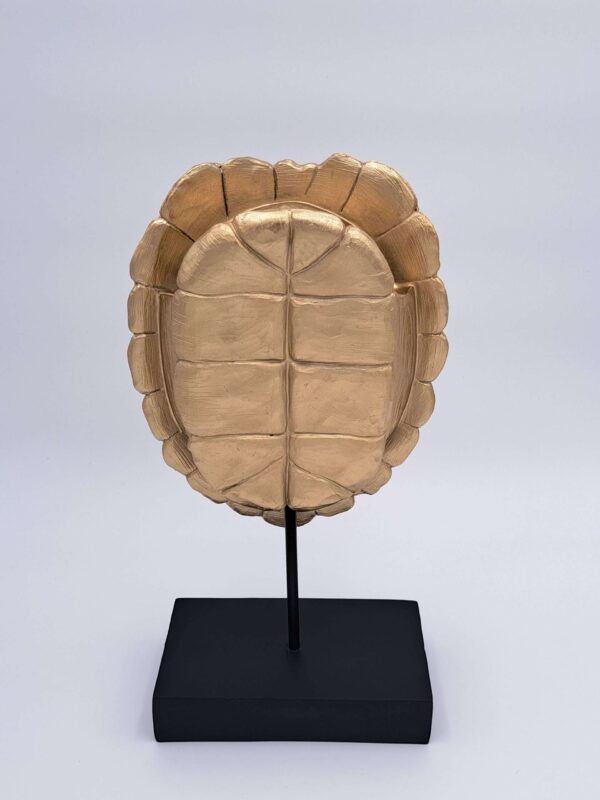 Tesoro de Tortuga Dorada - Afbeelding 2