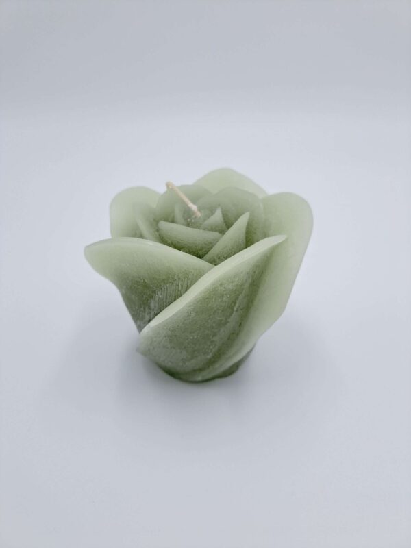 Fairy Tail Rose green - Afbeelding 2