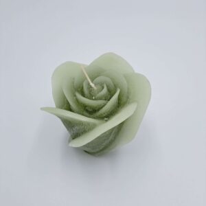 Fairy Tail Rose green