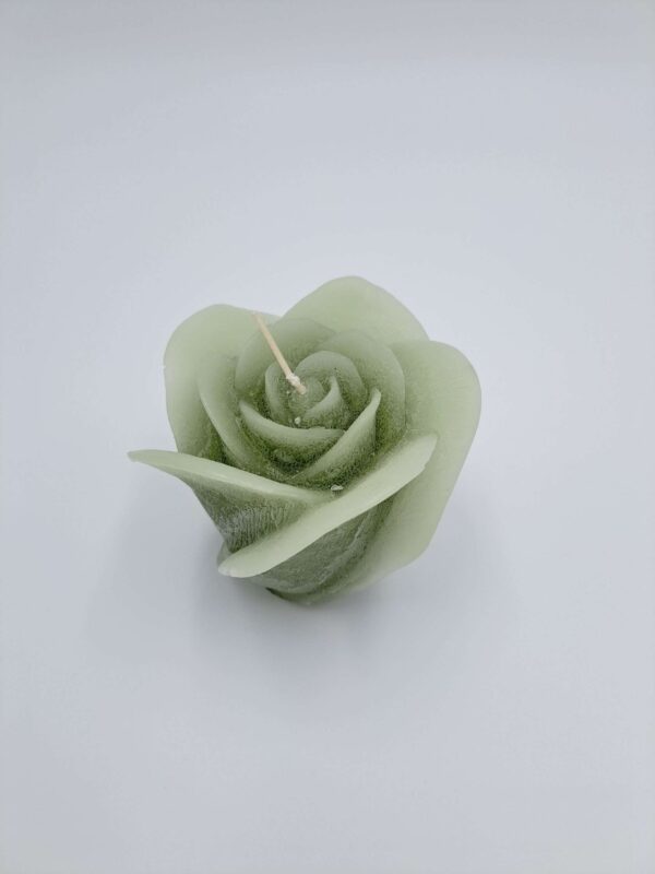 Fairy Tail Rose green