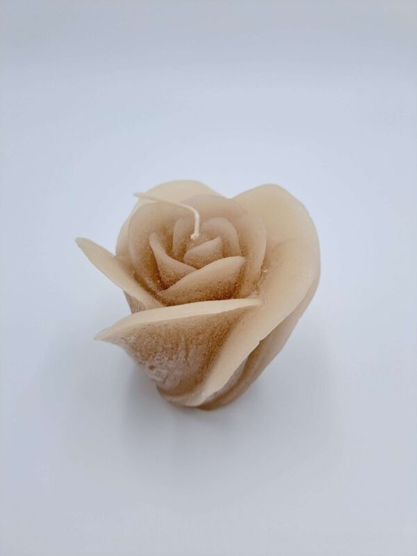 Fairy Tail Rose beige - Afbeelding 2