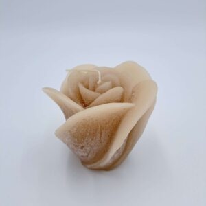 Fairy Tail Rose beige