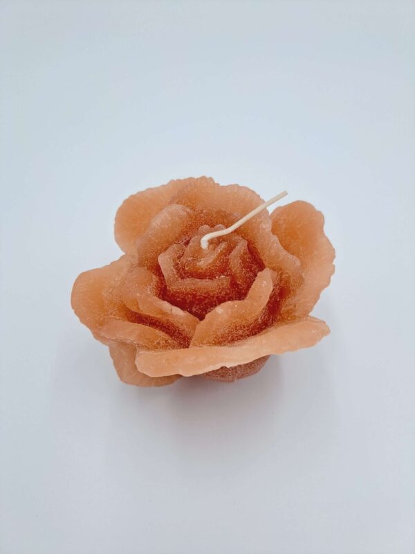 Garden Rose terra - Afbeelding 2