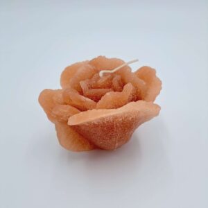 Garden Rose terra