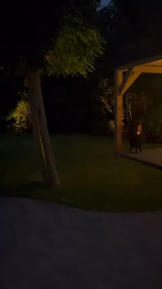 Instagram post from burghwoods. This post is in position 1.